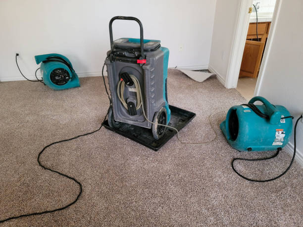 Best 24/7 water damage repair  in Medford Lakes, NJ