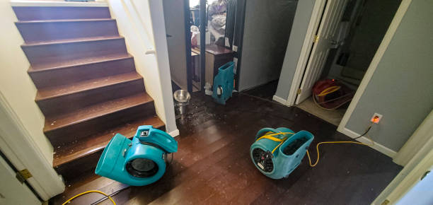Best Water damage restoration insurance claims  in Medford Lakes, NJ