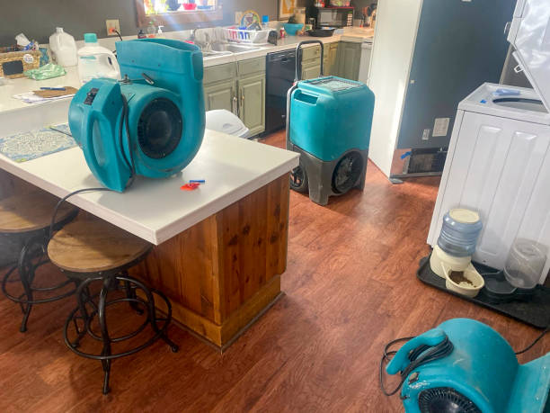 Best Carpet water damage restoration  in Medford Lakes, NJ