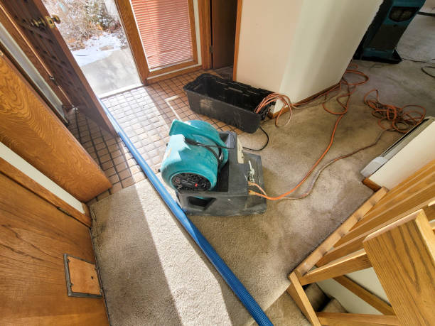 Best Water damage restoration insurance claims  in Medford Lakes, NJ