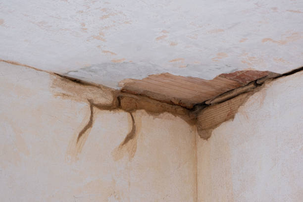 Water damage restoration insurance claims in Medford Lakes, NJ