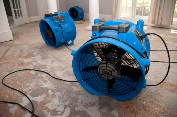  Medford Lakes, NJ Water damage restoration Pros