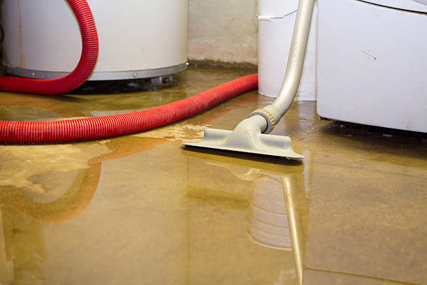 Best Water damage restoration near me  in Medford Lakes, NJ