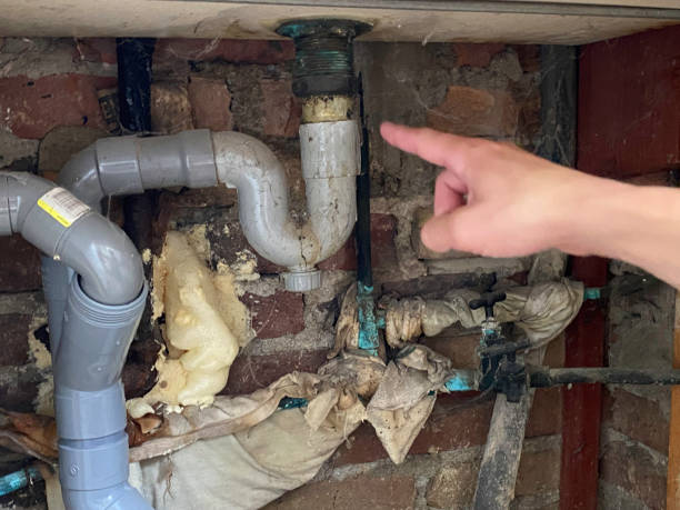 Best Water damage contractors near me  in Medford Lakes, NJ