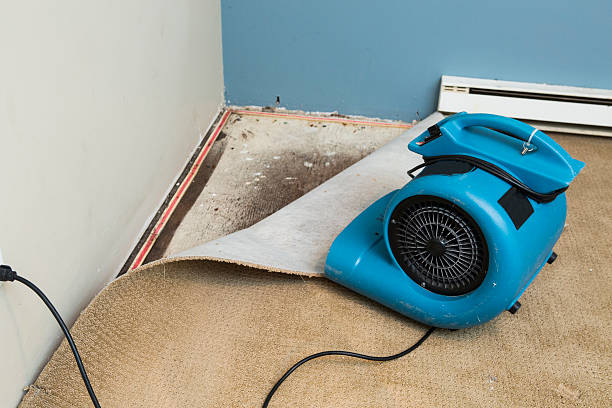 Best Basement water damage restoration  in Medford Lakes, NJ
